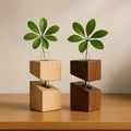 Wooden Block Bud Vase (Pair)