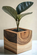Wooden Cube Planter
