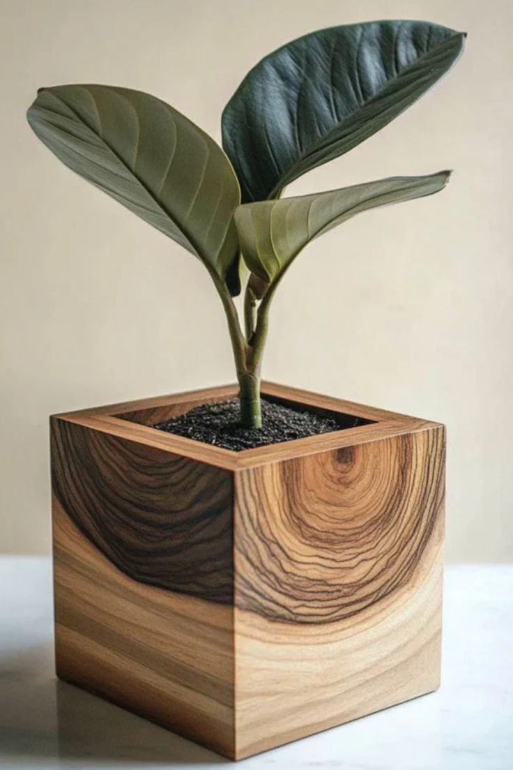 Wooden Cube Planter